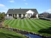 Easy Grass Hydroseeding lawn