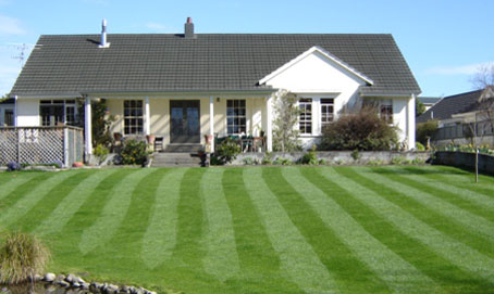 Hydroseeding lawn from Easy Grass