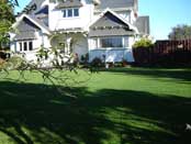 Hydroseed lawn